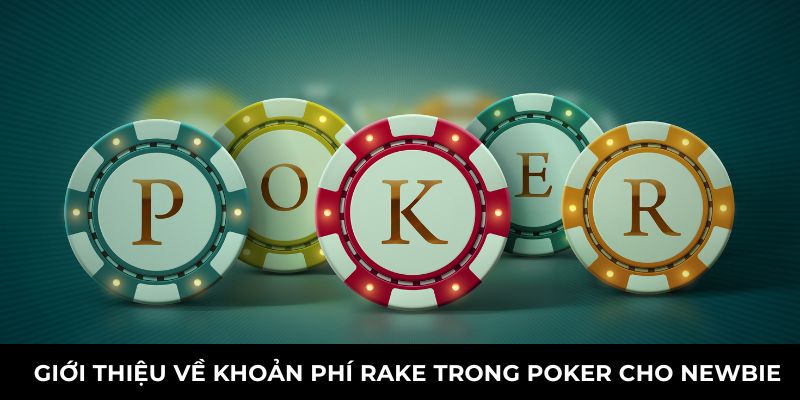 Giới thiệu về khoản phí rake trong poker cho newbie